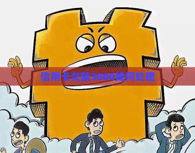 信用卡欠款3800如何处理