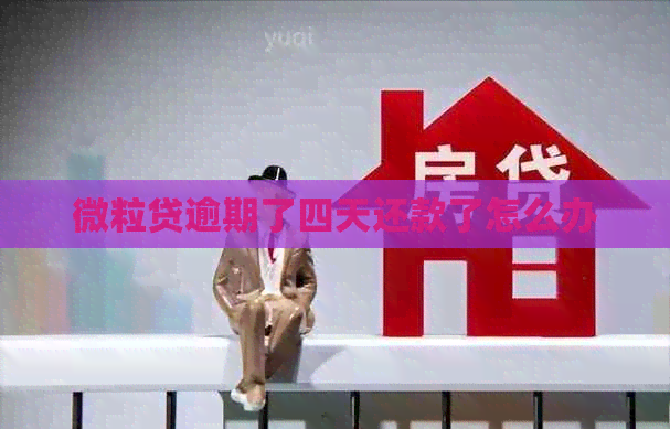微粒贷逾期了四天还款了怎么办