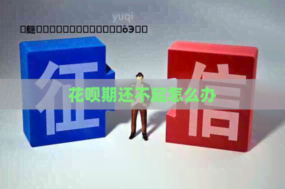 白条期还不起怎么办