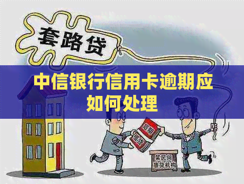 中信银行信用卡逾期应如何处理