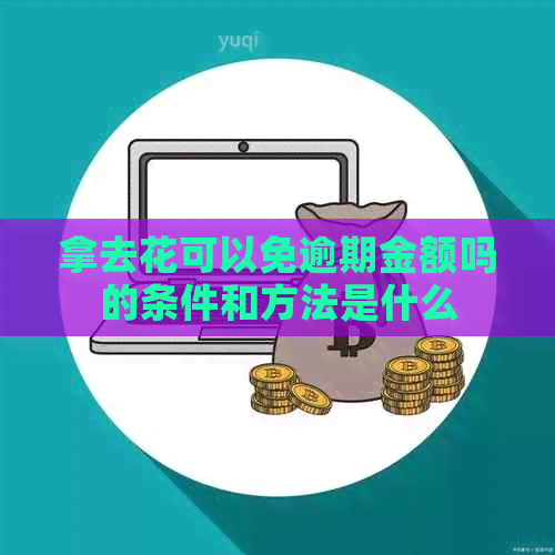 拿去花可以免逾期金额吗的条件和方法是什么