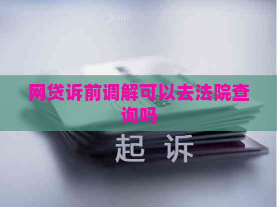 网贷诉前调解可以去法院查询吗