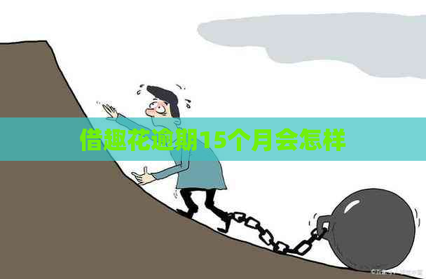 借趣花逾期15个月会怎样