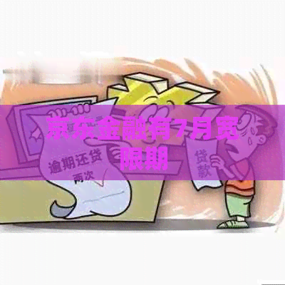 京东金融有7月宽限期