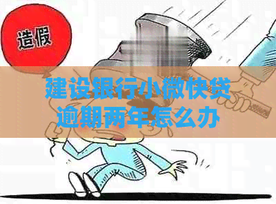 建设银行小微快贷逾期两年怎么办