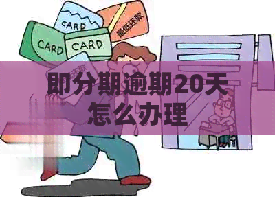 即分期逾期20天怎么办理