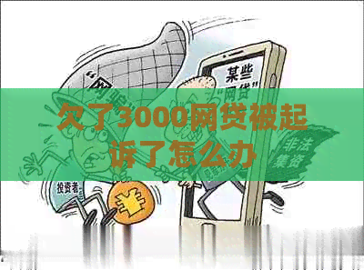 欠了3000网贷被起诉了怎么办