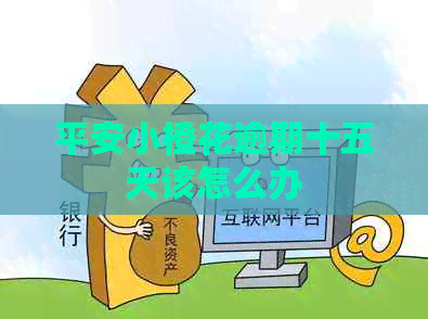 平安小橙花逾期十五天该怎么办
