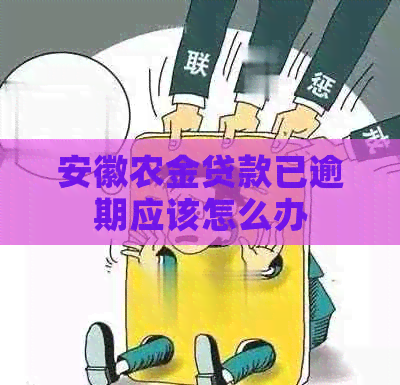 安徽农金贷款已逾期应该怎么办