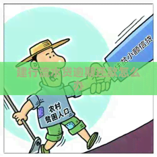 建行流水贷逾期还款怎么办