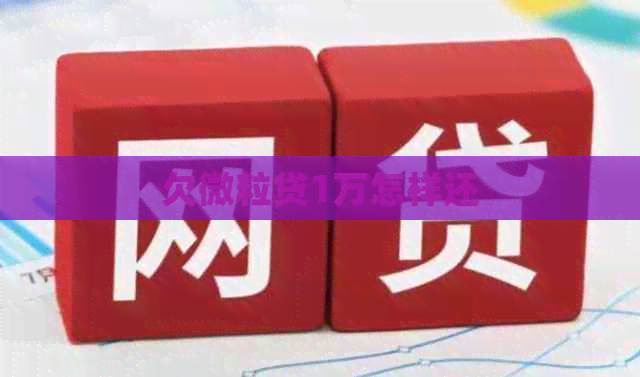 欠微粒贷1万怎样还