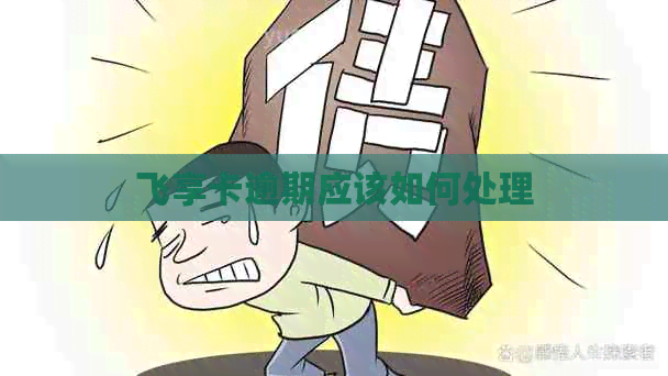 飞享卡逾期应该如何处理