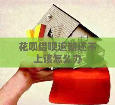 白条信用卡逾期还不上该怎么办