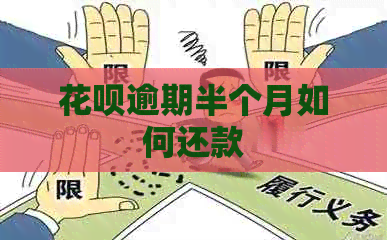 白条逾期半个月如何还款