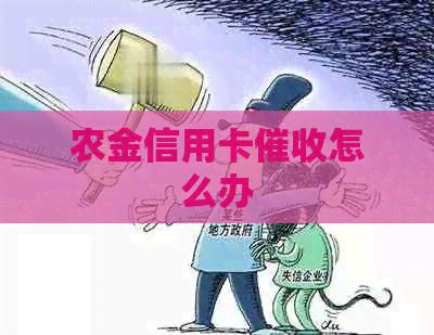 农金信用卡怎么办