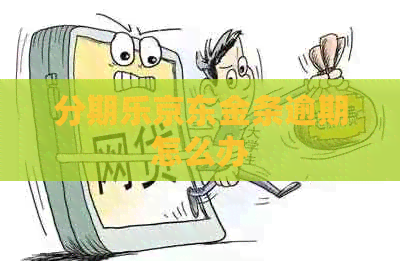 京东金条逾期怎么办