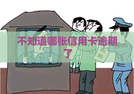 不知道哪张信用卡逾期了