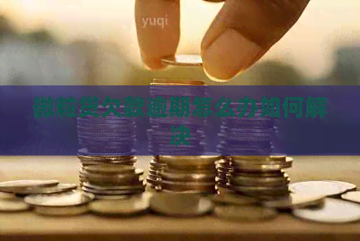 微粒贷欠款逾期怎么办如何解决
