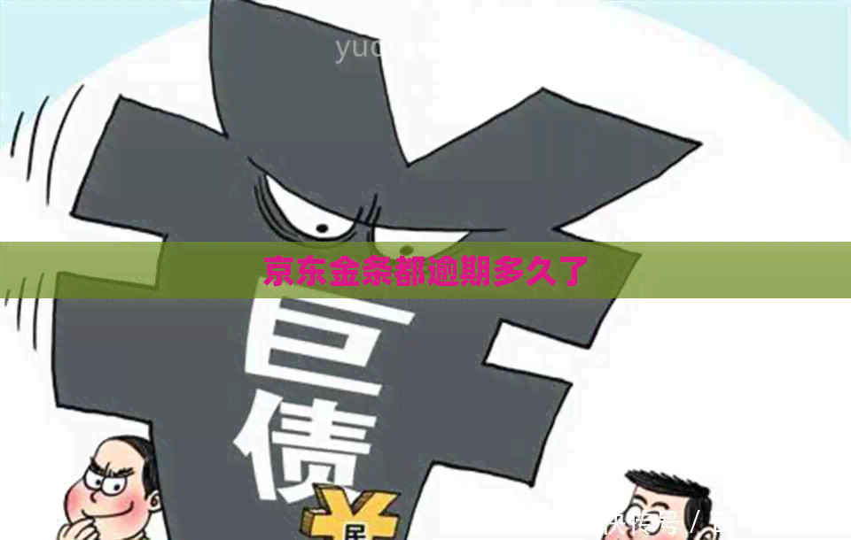 京东金条都逾期多久了