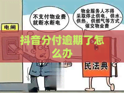 抖音分付逾期了怎么办