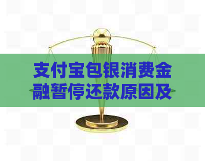 信用卡包银消费金融暂停还款原因及解决方法