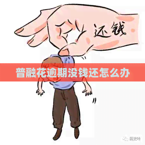 普融花逾期没钱还怎么办