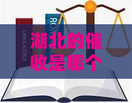 湖北的是哪个平台值得信