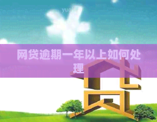 网贷逾期一年以上如何处理