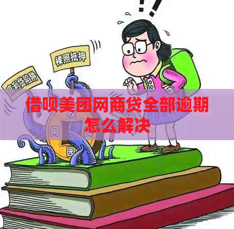 信用卡美团白条贷全部逾期怎么解决