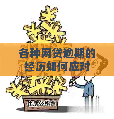 各种网贷逾期的经历如何应对