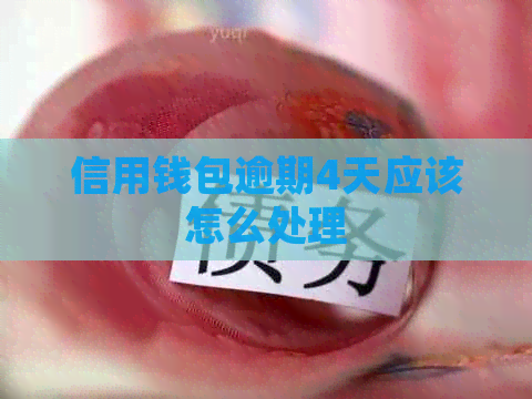 信用钱包逾期4天应该怎么处理