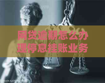 网贷逾期怎么办理停息挂账业务