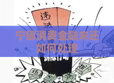 宁银消费金融未还如何处理