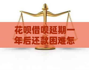 白条信用卡延期一年后还款困难怎么办