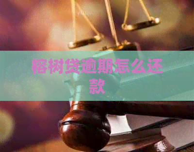 榕树贷逾期怎么还款