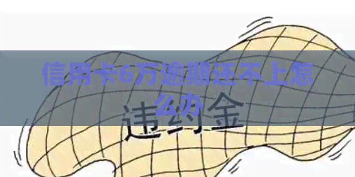 信用卡6万逾期还不上怎么办
