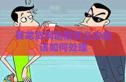 翼龙贷网逾期怎么办应该如何处理