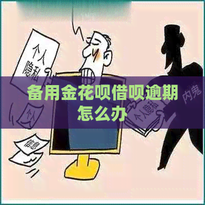 备用金白条信用卡逾期怎么办