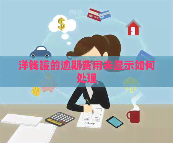 洋钱罐的逾期费用未显示如何处理