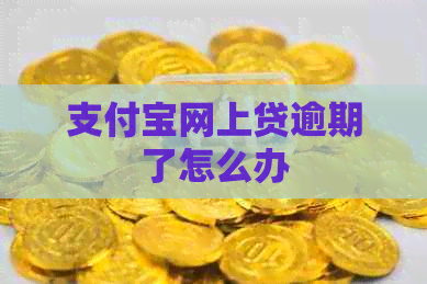信用卡网上贷逾期了怎么办