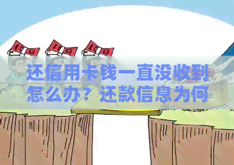 还信用卡钱一直没收到怎么办？还款信息为何未到账？