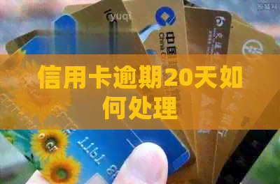 信用卡逾期20天如何处理