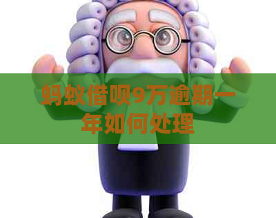 蚂蚁信用卡9万逾期一年如何处理