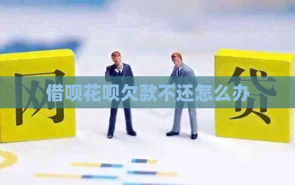 信用卡白条欠款不还怎么办