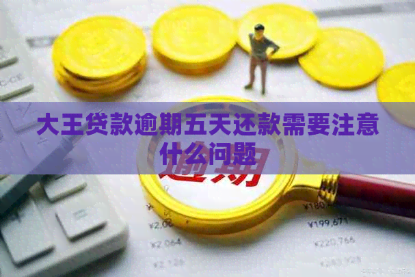 大王贷款逾期五天还款需要注意什么问题
