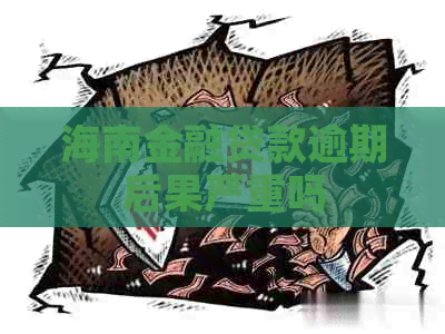 海南金融贷款逾期后果严重吗