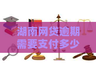 湖南网贷逾期需要支付多少逾期费用