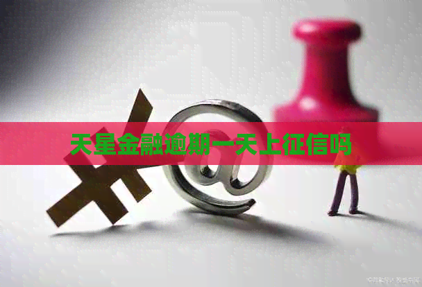 天星金融逾期一天上吗