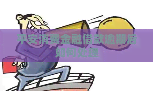 平安消费金融借款逾期后如何处理