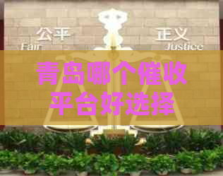 青岛哪个平台好选择